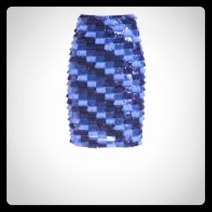 Navy Indigo Paillettes Fringe Skirt